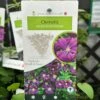 Clematis 'Etoile Violette' Climber 3Ltr Pot -Water N Plants Sales Store 30198710