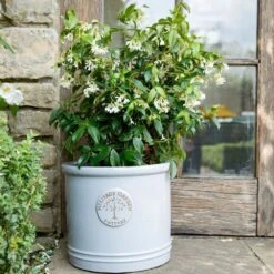 Woodlodge 38cm White / Cream Glazed Heritage Cylinder Pot -Water N Plants Sales Store 5021346424430