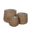 Woodlodge Sencha Wicker Baskets 1 Woodlodge Sencha Wicker Baskets -Water N Plants Sales Store 5021346444162