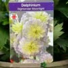 Delphinium 'Moonlight' 3Ltr Pot -Water N Plants Sales Store 5021768046050