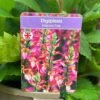 Digiplexis 'Falcon Fire' 3Ltr Pot -Water N Plants Sales Store 5021768139103 55fd2030 f7b2 4893 a1fd e1eb5cfe0c2f