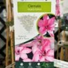 Clematis 'Hagley Hybrid' Climber 2Ltr Pot -Water N Plants Sales Store 5025338000619 3c5076d3 c701 4377 881b 7a0362c52d0b