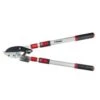 Darlac Telescopic Ratchet Lopper -Water N Plants Sales Store 5038210003479