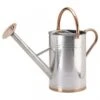 Smart Garden 9 Litre Galvanised Steel Watering Can 2 Smart Garden 9 Litre Galvanised Steel Watering Can -Water N Plants Sales Store 5050642047234 2302db94 df29 471a b2b0 3be02c85f72a