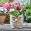 Flamboya 23cmWoodstone Owl Planter -Water N Plants Sales Store 5050642048118