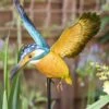 La Hacienda Inquisitive Kingfisher Stake 1 La Hacienda Inquisitive Kingfisher Stake -Water N Plants Sales Store 5055025558710