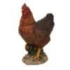 Vivid Arts 28cm Summer Hen - XRL-CHKN-D -Water N Plants Sales Store 5055195014733