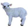 Vivid Arts 38.5cm Standing Lamb - XRL-STLB-B 1 Vivid Arts 38.5cm Standing Lamb - XRL-STLB-B -Water N Plants Sales Store 5055195017567