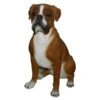 Vivid Arts 47cm Boxer Dog - XRL-BOXR-A -Water N Plants Sales Store 5055195017628