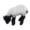Vivid Arts 31cm Black / White Standing Lamb - XRL-BLLB-D -Water N Plants Sales Store 5055195017697