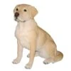 Vivid Arts 54cm Golden Labrador Dog - XRL-LABR-A -Water N Plants Sales Store 5055195019295