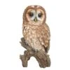 Vivid Arts 31.5cm Tawny Owl - XRL-TWNY-B -Water N Plants Sales Store 5055195019448 c1876a6d fd06 4298 b9e0 29c74b19bfd2