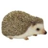 Vivid Arts 13cm Pet Pals Pygmy Hedgehog - PP-PHED-F -Water N Plants Sales Store 5055195019943