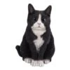 Vivid Arts 30cm Black & White Sitting Cat - XRL-SC35-B 2 Vivid Arts 30cm Black & White Sitting Cat - XRL-SC35-B -Water N Plants Sales Store 5055195020215