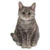 Vivid Arts 30cm Tabby Sitting Cat - XRL-SC33-B -Water N Plants Sales Store 5055195020222