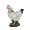 Vivid Arts 27cm Black & White Summer Hen - XRL-CH47-D 1 Vivid Arts 27cm Black & White Summer Hen - XRL-CH47-D -Water N Plants Sales Store 5055195020482