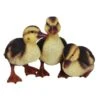 Vivid Arts 23cm Standing Duckling Group - NF-DK26-D 2 Vivid Arts 23cm Standing Duckling Group - NF-DK26-D -Water N Plants Sales Store 5055195023674