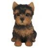 Vivid Arts 16cm Yorkshire Terrier Puppy Pet Pals - PP-Y 2 Vivid Arts 16cm Yorkshire Terrier Puppy Pet Pals - PP-Y -Water N Plants Sales Store 5055195025302