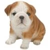Vivid Arts 19cm Bulldog Puppy Pet Pals - PP-BDOG-F 1 Vivid Arts 19cm Bulldog Puppy Pet Pals - PP-BDOG-F -Water N Plants Sales Store 5055195025319