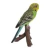 Vivid Arts 16cm Green Budgerigar Pet Pal - PP-BDG4-F -Water N Plants Sales Store 5055195025753