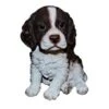 Vivid Arts 16cm Pet Pals Springer Spaniel - PP-SPSP-F -Water N Plants Sales Store 5055195027306