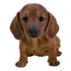 Vivid Arts 20cm Brown Dachshund Puppy -Water N Plants Sales Store 5055195035523