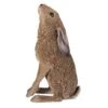 Vivid Arts 35cm Moon Gazing Hare - XRL-HR01-A -Water N Plants Sales Store 5055195036582