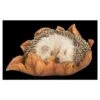 Vivid Arts Baby Hedgehog Sleeping On Leaf XRL-HH09-F 2 Vivid Arts Baby Hedgehog Sleeping On Leaf XRL-HH09-F -Water N Plants Sales Store 5055195037596