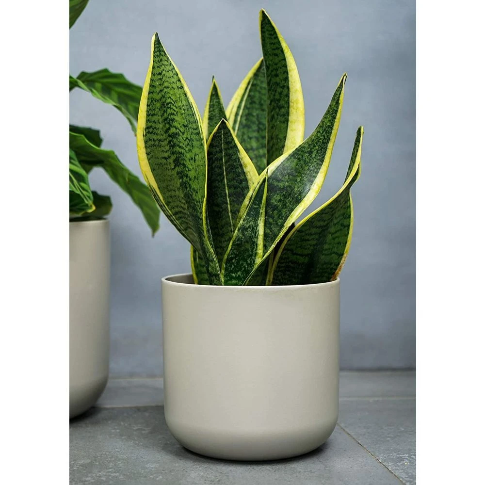 Ivyline 18.5cm White Lisbon Planter 4 Ivyline 18.5cm White Lisbon Planter - Image 2