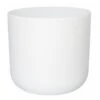 Ivyline 26cm White Lisbon Planter -Water N Plants Sales Store 5055352842261 41bae334 94d4 4f2e 9369 0149da4f2e87