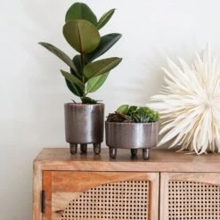 Ivyline 19cm Mocha Pisa Bowl Indoor Houseplant Pot -Water N Plants Sales Store 5055352850235 3