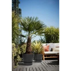 Elho 25cm Living Black Greenville Round Planter -Water N Plants Sales Store 8711904332334 5