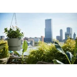 Elho 24cm Leaf Green Greenville Hanging Basket Planter 11 Elho 24cm Leaf Green Greenville Hanging Basket Planter -Water N Plants Sales Store 8711904332440 5