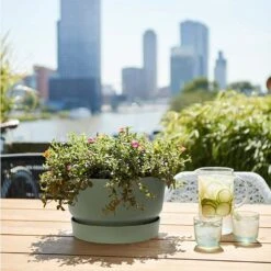 Elho 33cm Leaf Green Greenville Bowl Planter -Water N Plants Sales Store 8711904332464 4