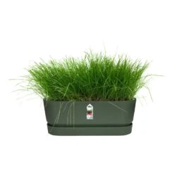 Elho 70cm Living Concrete Greenville Trough Long -Water N Plants Sales Store 8711904357764 4