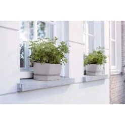 Elho 50cm Living Concrete Greenvillle Long Trough Planter -Water N Plants Sales Store 8711904358440 4