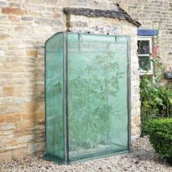 Smart Garden Tomato Grow Zone -Water N Plants Sales Store grozone tomato growhouse lifestyle 2